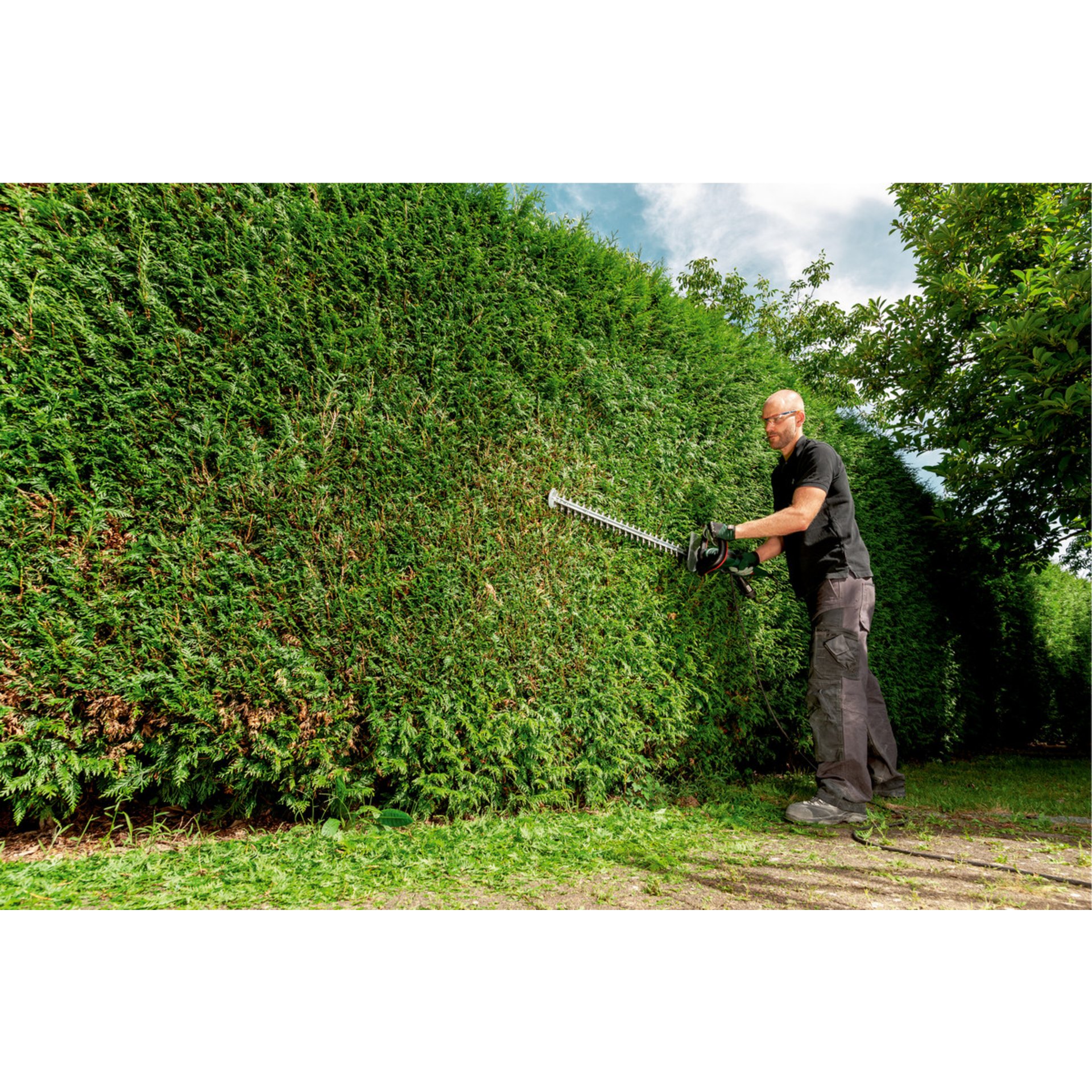 Garten, Hecke, Gartenarbeit, Schwert, Person