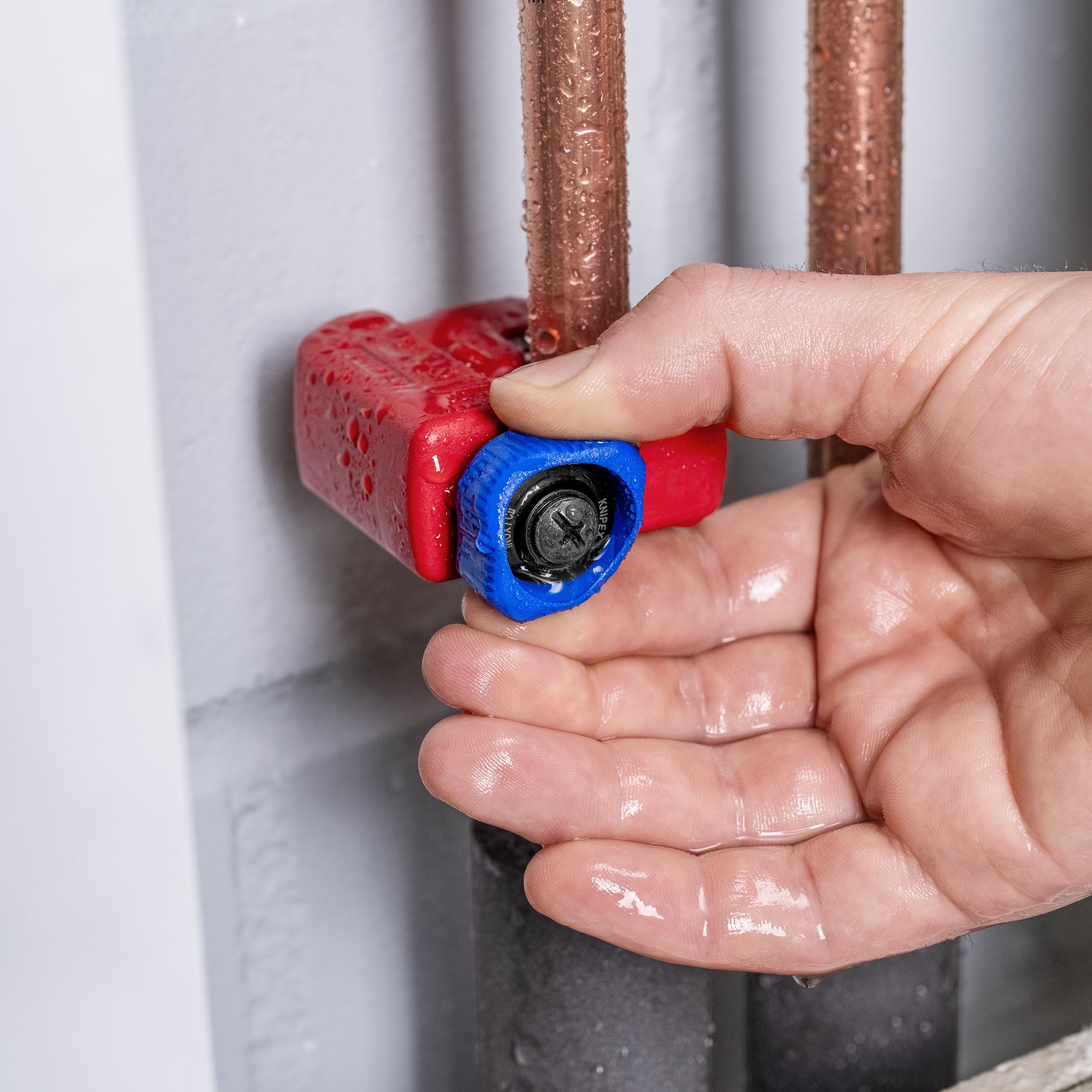 Körperteil, Hand, Person