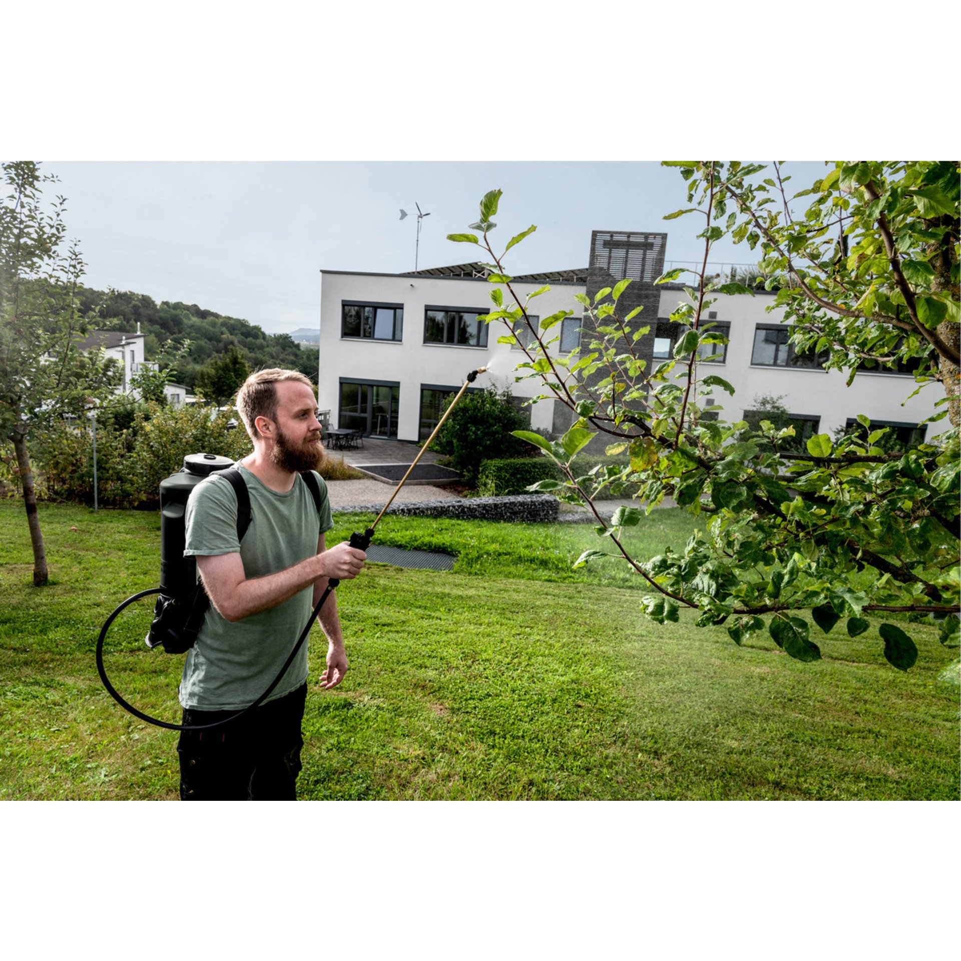 Photographie, Portrait, Gras, Baum, Bewuchs
