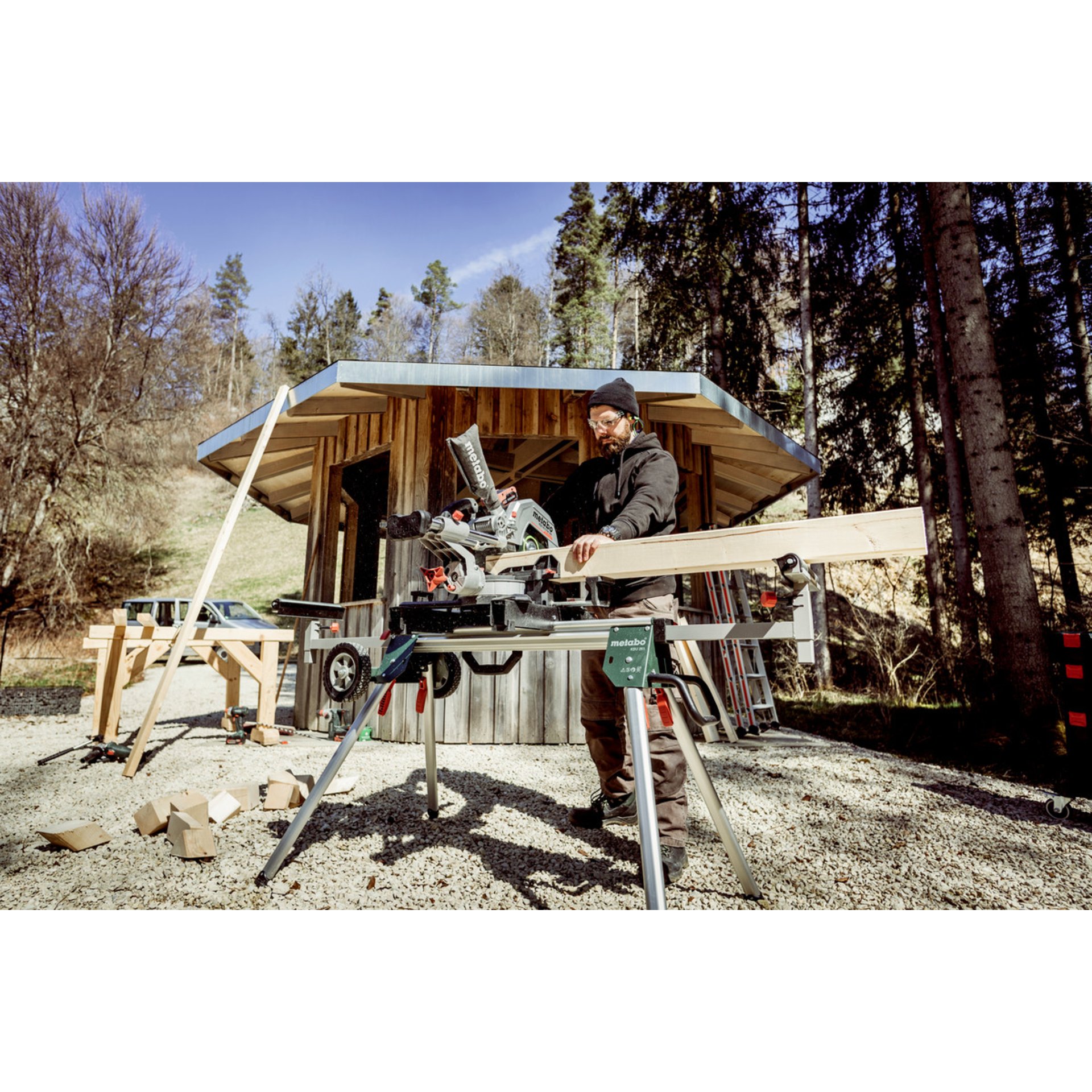 Tierheim, Holz, Erwachsener, Mann, Person