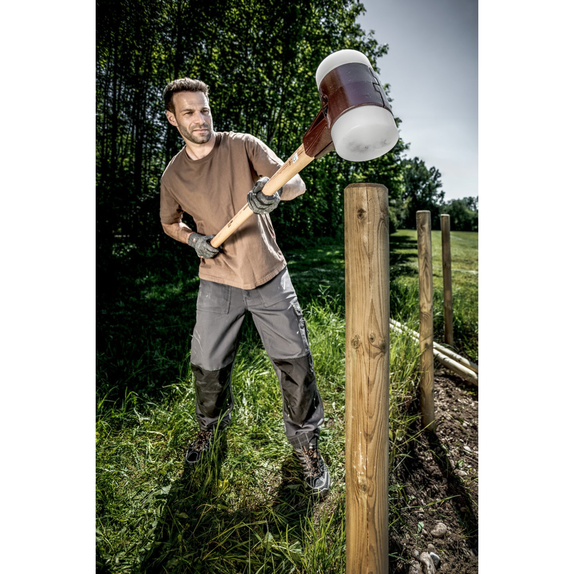 Leute, Person, Garten, Natur, Draußen