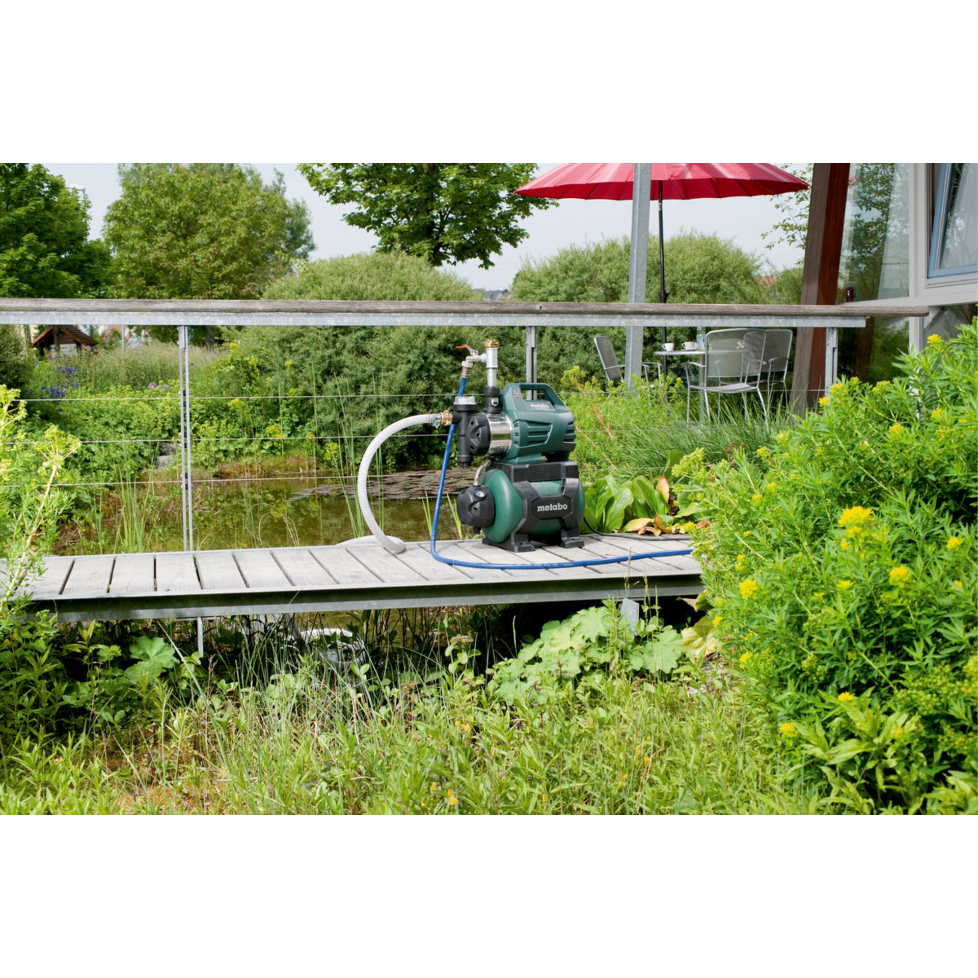 Gras, Rasen, Garten, Kräuterig, Innenarchitektur