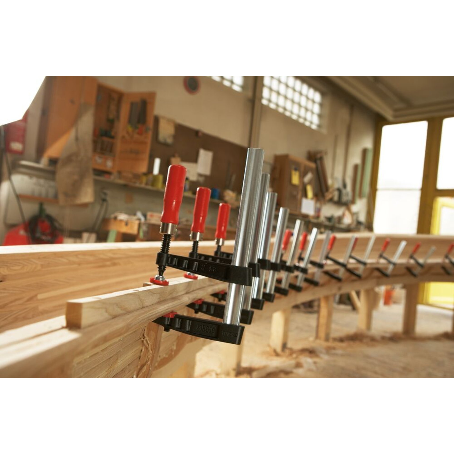 Holz
