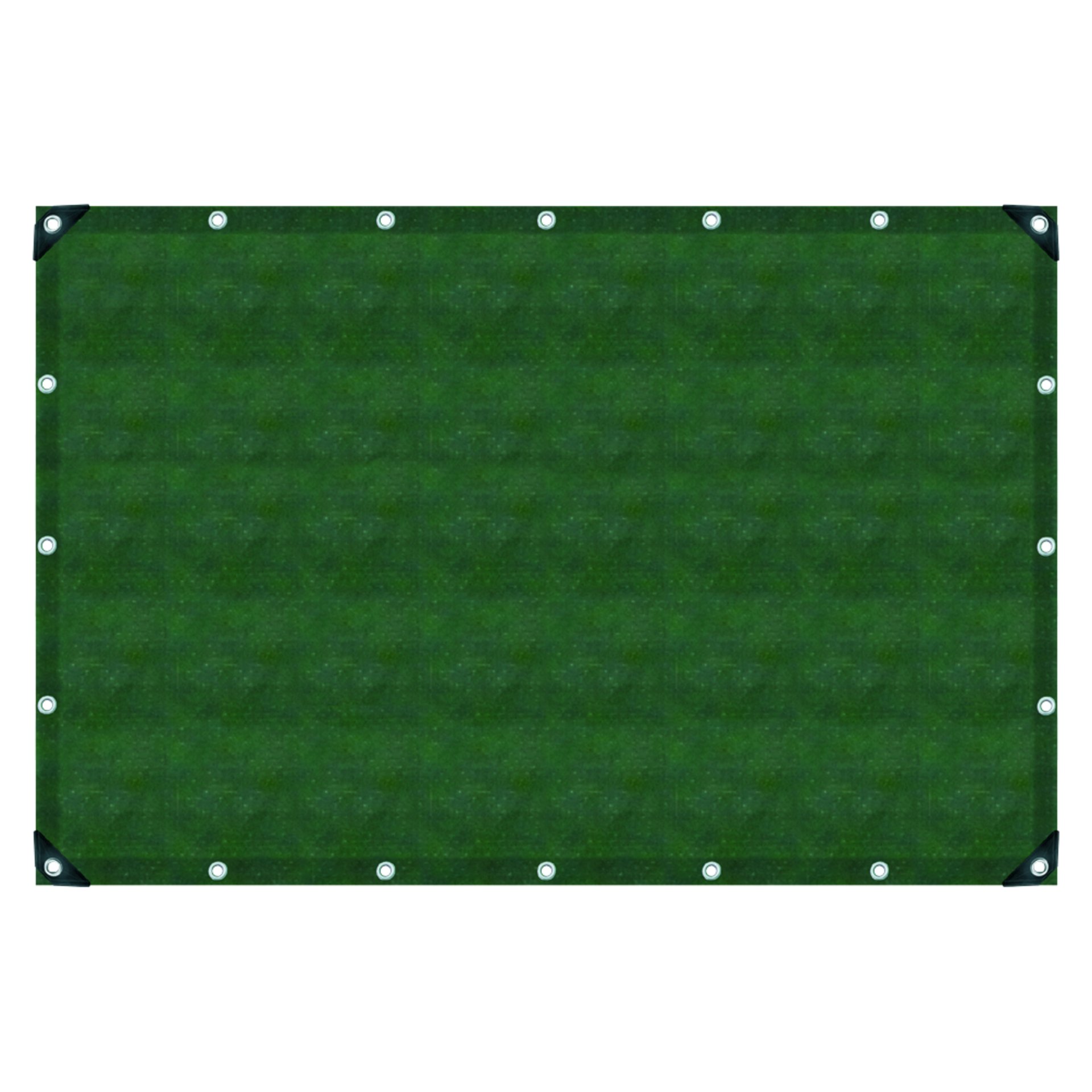 Gras, Pflanze, Dekoration für Zuhause, Rasen, Überwachen